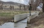 امید سبز در دل بحران : قوری گول، تالاب زندگی، از نو جانی می گیرد!