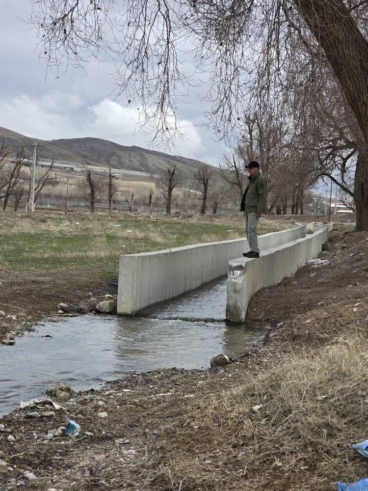 امید سبز در دل بحران : قوری گول، تالاب زندگی، از نو جانی می گیرد!