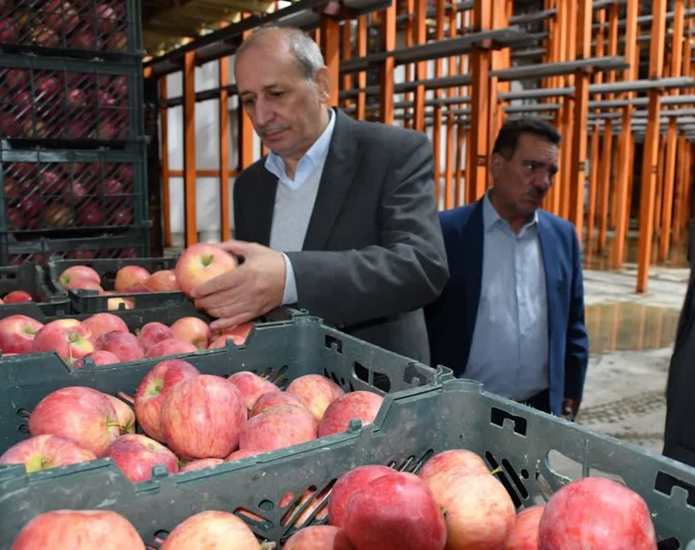 ثبات بازار و امنیت غذایی در آذربایجان شرقی؛ نتیجه همکاریهای همافزا / آرامش در بازار؛ گواه مدیریت جهادی در تأمین کالاهای اساسی آذربایجان شرقی