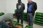 ایران رتبه یک تا سه فرسایش خاک را دارد/ ایستگاه خواجه؛ مرجع ملی تحقیقات مارن