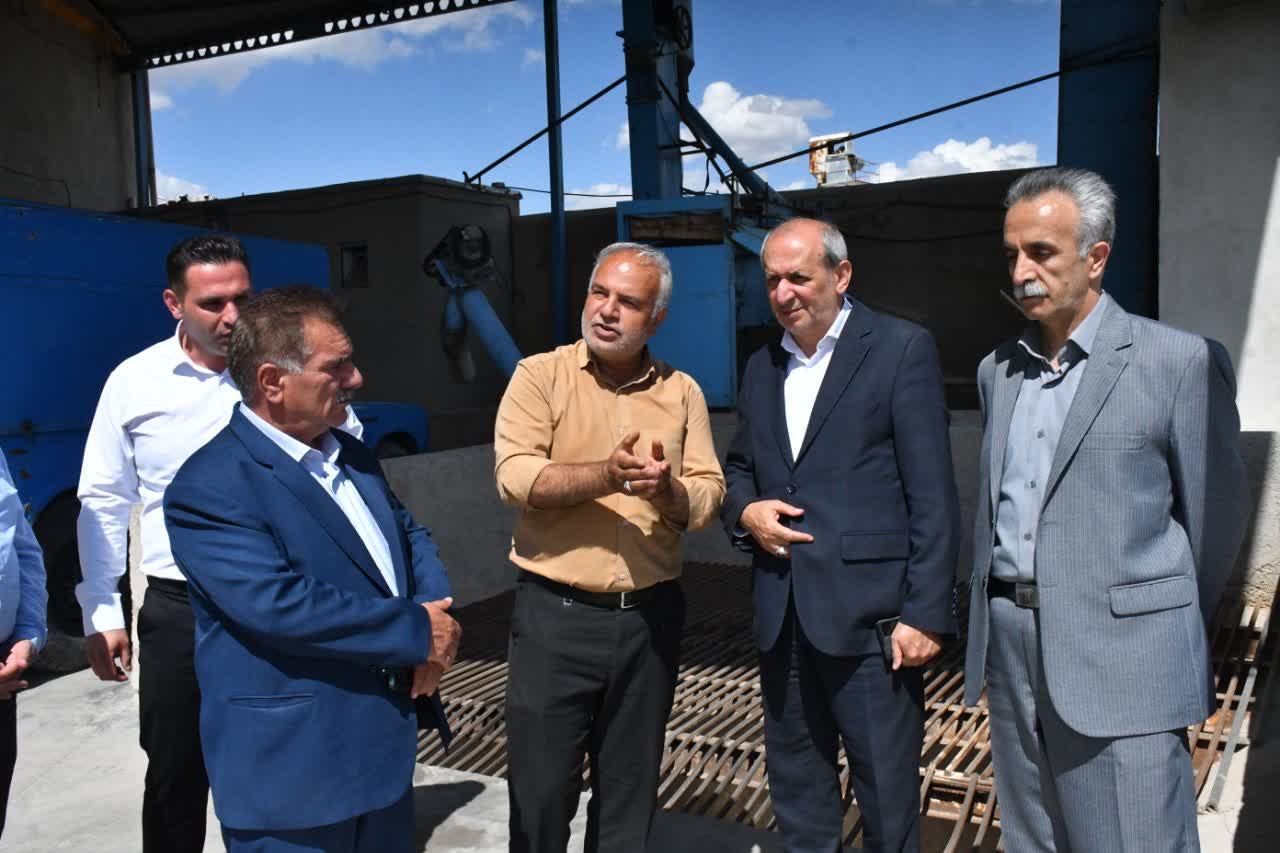 لپه آذرشهر؛ برند ماندگار حبوبات ایران در مسیر جهانی شدن /آذرشهر؛ پایتخت بیرقیب تولید لپه کشور و قطب فرآوری حبوبات خاورمیانه